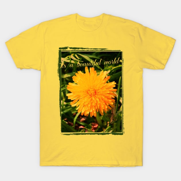 beautiful world with dandelion T-Shirt by Alina